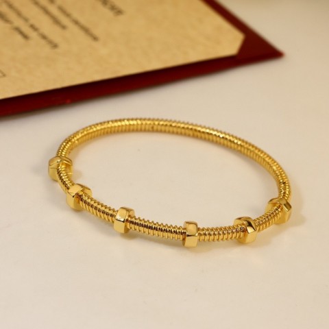 Luxury Women's Titanium Steel Bangle Bracelet, Waterproof, Fashion Classic and Versatile