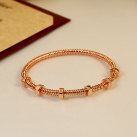 Luxury Women's Titanium Steel Bangle Bracelet, Waterproof, Fashion Classic and Versatile