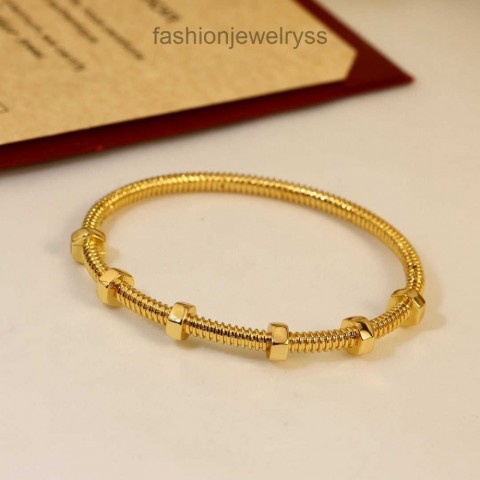 Luxury Women's Titanium Steel Bangle Bracelet, Waterproof, Fashion Classic and Versatile