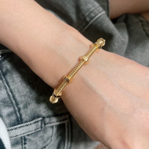 Luxury Women's Titanium Steel Bangle Bracelet, Waterproof, Fashion Classic and Versatile