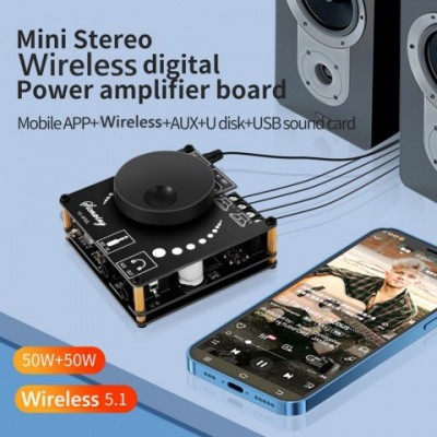 YS-AP50L Advanced Dual Channel Bluetooth Amplifier for Home Theater