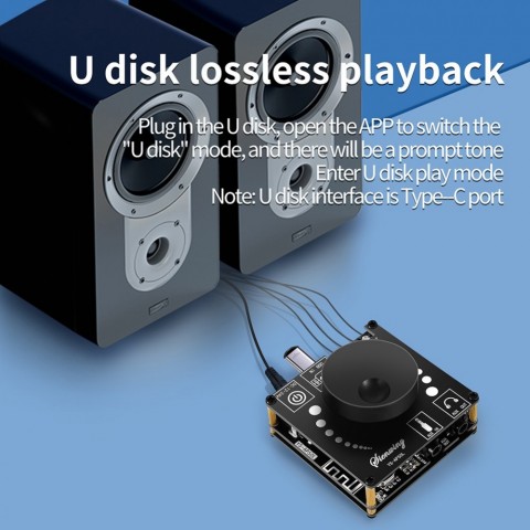 YS-AP50L Advanced Dual Channel Bluetooth Amplifier for Home Theater