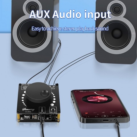 YS-AP50L Advanced Dual Channel Bluetooth Amplifier for Home Theater