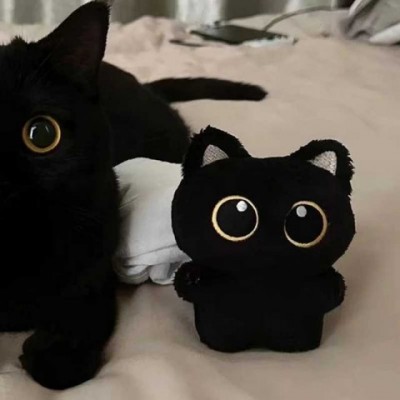Cute Black Cat Plush Toy Keychain for Boys W250116