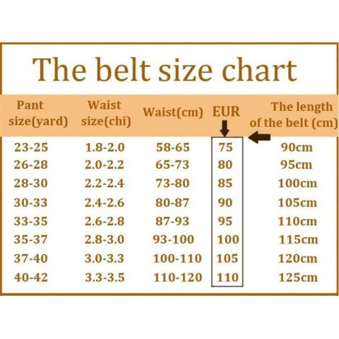 Luxury Designer Belts for Men and Women with Plaid Flower Metal Buckle