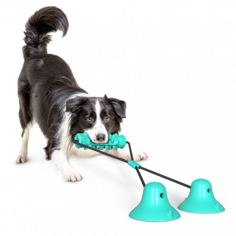 Bite-Resistant Dog Teeth Cleaning Stick with Double Suction Cups