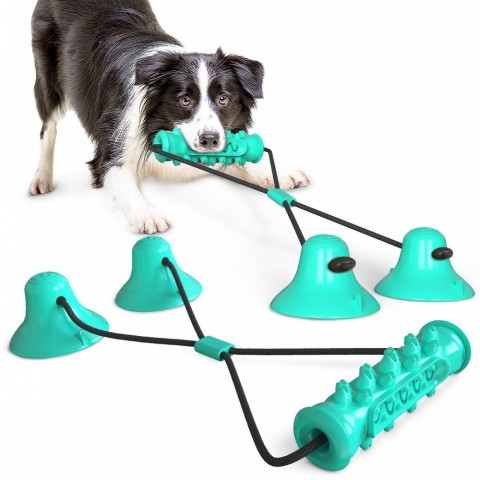 Bite-Resistant Dog Teeth Cleaning Stick with Double Suction Cups