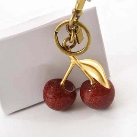 Luxury Designer Keychains & Lanyards - Unisex Stainless Steel Keyrings with White Charm