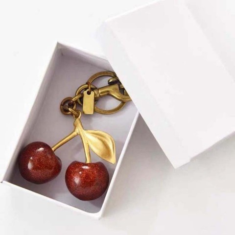 Luxury Designer Keychains & Lanyards - Unisex Stainless Steel Keyrings with White Charm